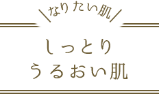 なりたい肌　しっとりうるおい肌