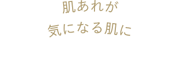 肌あれが気になる肌に
